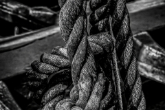 EHO_020986-Edit