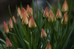 EHO_022847