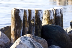 EHO_026243