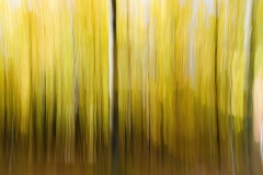 EHO_60D_25124